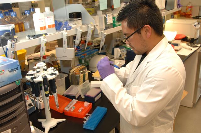 An NIH scientist working with pipettes at a laboratory bench.
